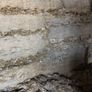 Pit silage Image 4