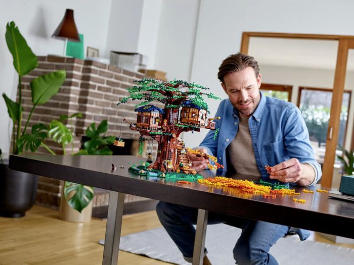 Lego 21338 A Frame Cabin & 21318 Tree House