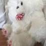 Two Soft Teddy's Image 6
