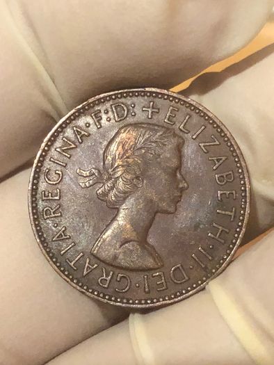 Elizabeth Halfpenny  x28 Pictures of each coin
