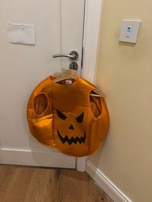 halloween pumpkin costume