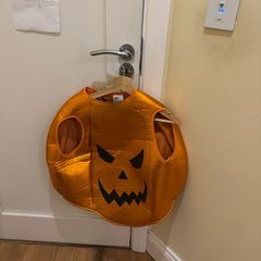 halloween pumpkin costume