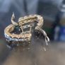 Vintage PL Hoop Earrings with Large Clear CZ Stones. Statement Jewellery Image 3