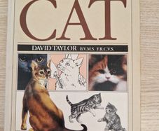 You & Your Cat Book