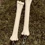 1 Nunchucks made from horse leg bones and chains Image 4
