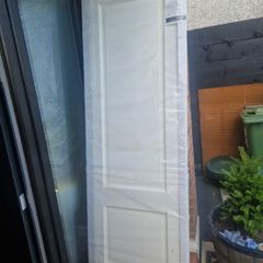 Interior primed door