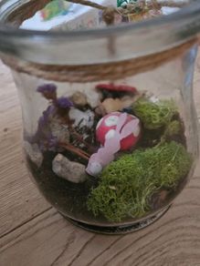 Open glass jar terrarium
