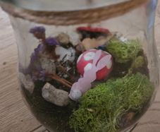 Open glass jar terrarium