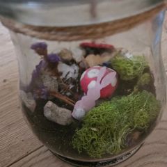 Open glass jar terrarium
