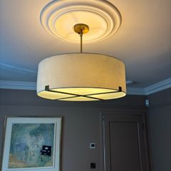 Pair of matching hanging shades