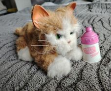 Soft Toy - Ginger Cat