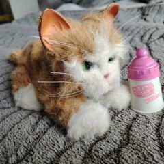Soft Toy - Ginger Cat