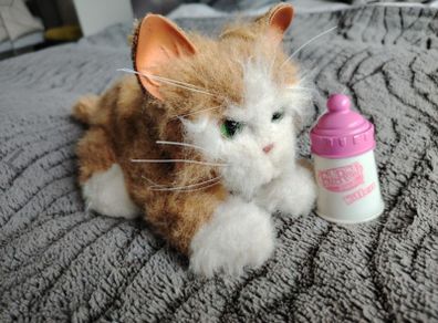 Soft Toy - Ginger Cat