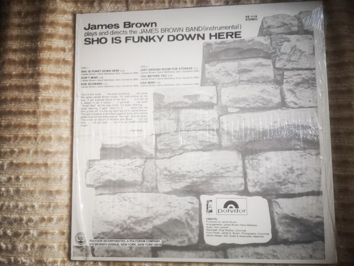 James Brown - Sho Is Funky In Here Funk reissue