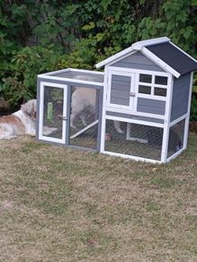 Rabbit Hutch