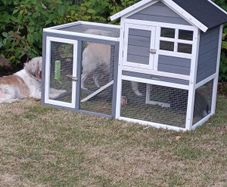 Rabbit Hutch