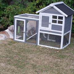 Rabbit Hutch