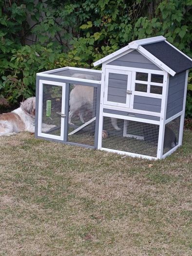 Rabbit Hutch
