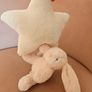 Jellycat Bashful Pink Bunny Musical Pull Image 5