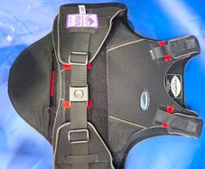 horse riding brace
