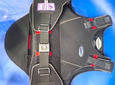 horse riding brace