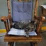 Traditional Hardwood Rocking Chair Image 2