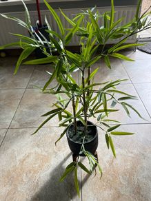 artificial plant