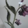 Fine Porcelain John Hinde Teapot Image 2