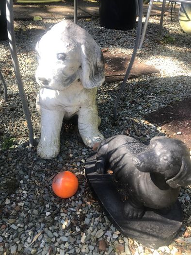 Garden Dog