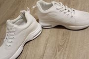 trainers