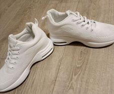 trainers