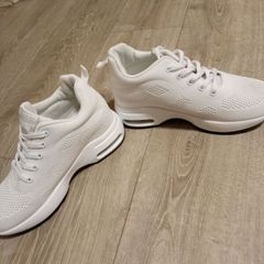 trainers