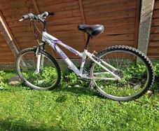 Apollo Jewel mountain bike - white