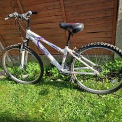 Apollo Jewel mountain bike - white