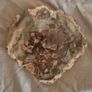 Fossilized wood, Madagascar, Triassic period. With metal display stand. Image 5