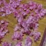 wedding decoration Image 3