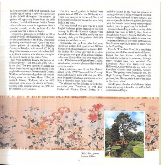1989/90 Ireland The Irish Stamp Year Book with 48 images of contents