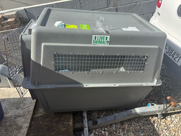 dog crate