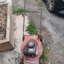 Briggs & Stratton Engine Image 2