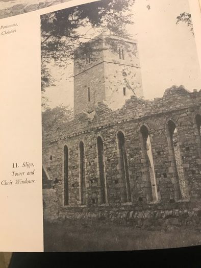 Rare 1st Edition-The Irish Dominicans