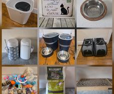 Various Cat Accessories