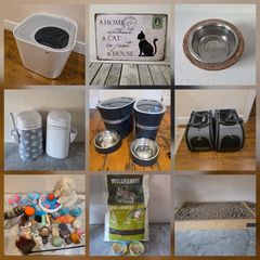 Various Cat Accessories