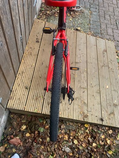 Kids Giant bike