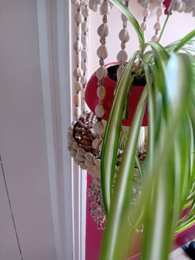 vintage 1960 seashell hanging planter