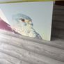 large canvas hawks 32+32 inch Image 3