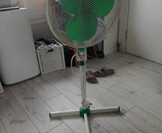 Fan