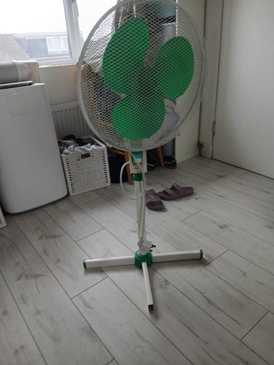 Fan