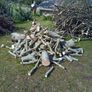 free logs Image 5