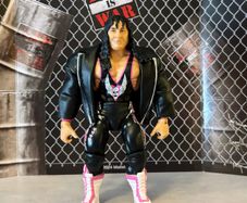 WWE Superstars Wrestling Figures WWF Mattel