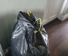 Woman's wear